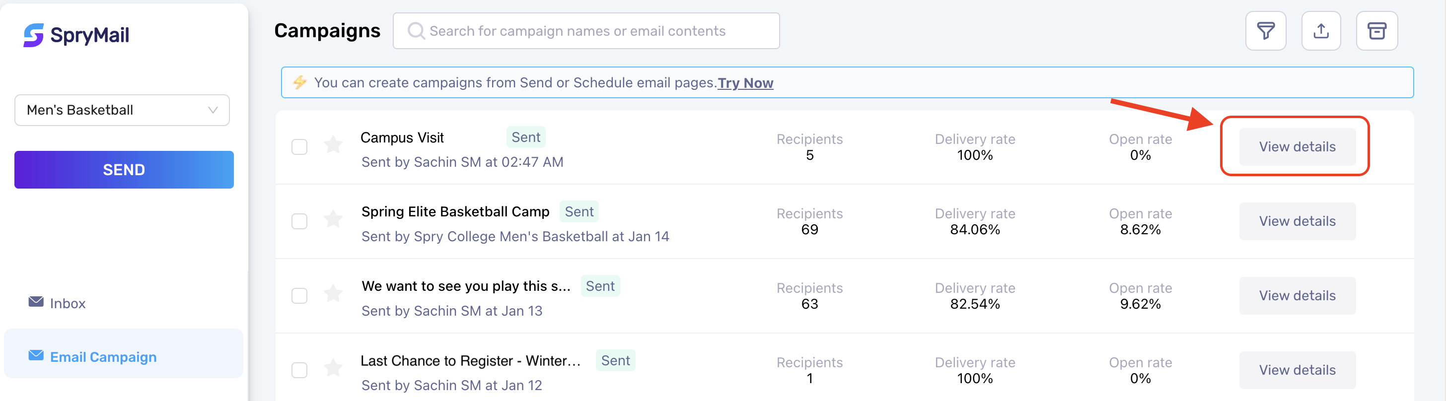 Campaign view details.png